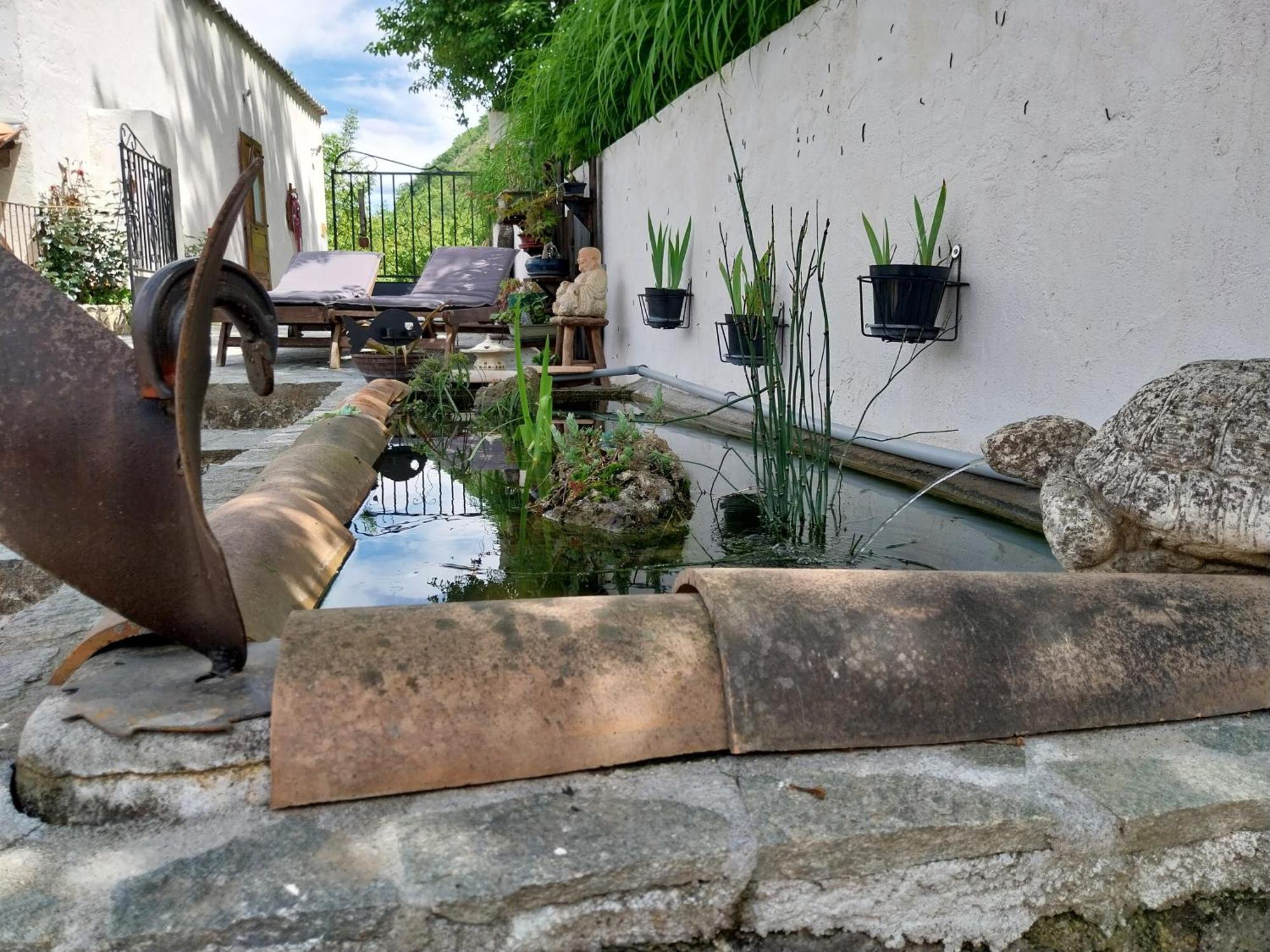 Villa Domyv'loup *